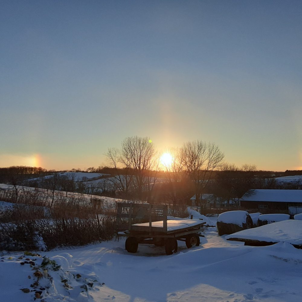 2021 – Winter Week 4 Newsletter