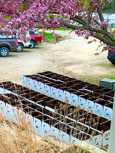 2026 Spring CSA Box #1
